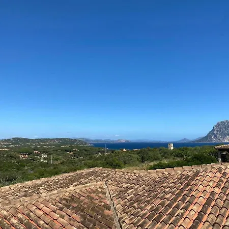 아파트 Capo Coda Cavallo *