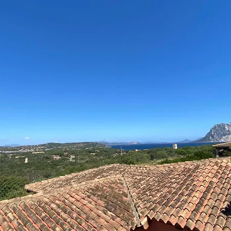 Capo Coda Cavallo 아파트 *