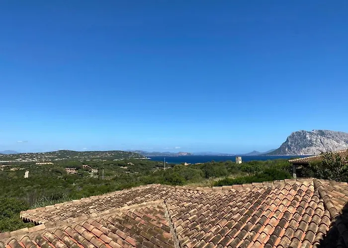 Apartman Capo Coda Cavallo *